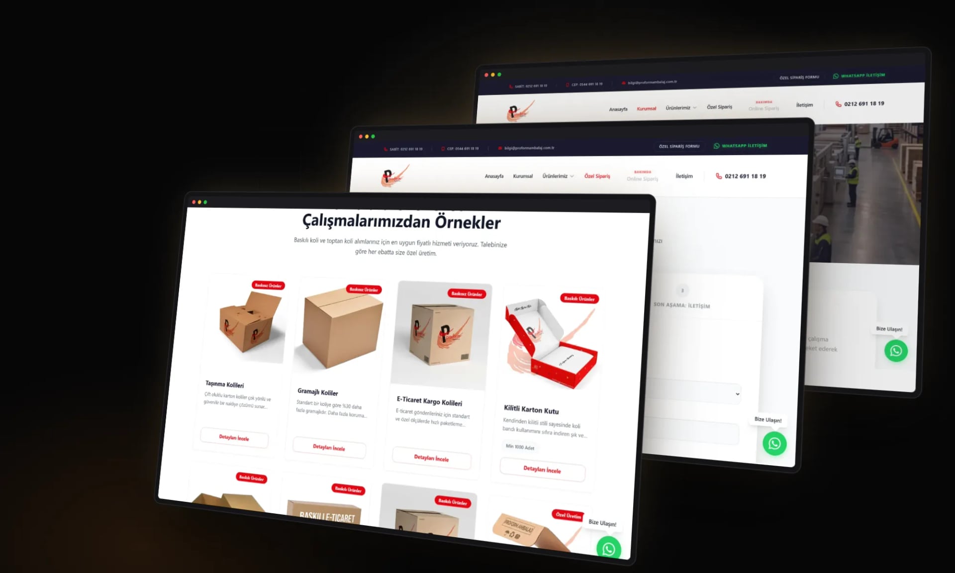 Proform Ambalaj — Sections and inner pages