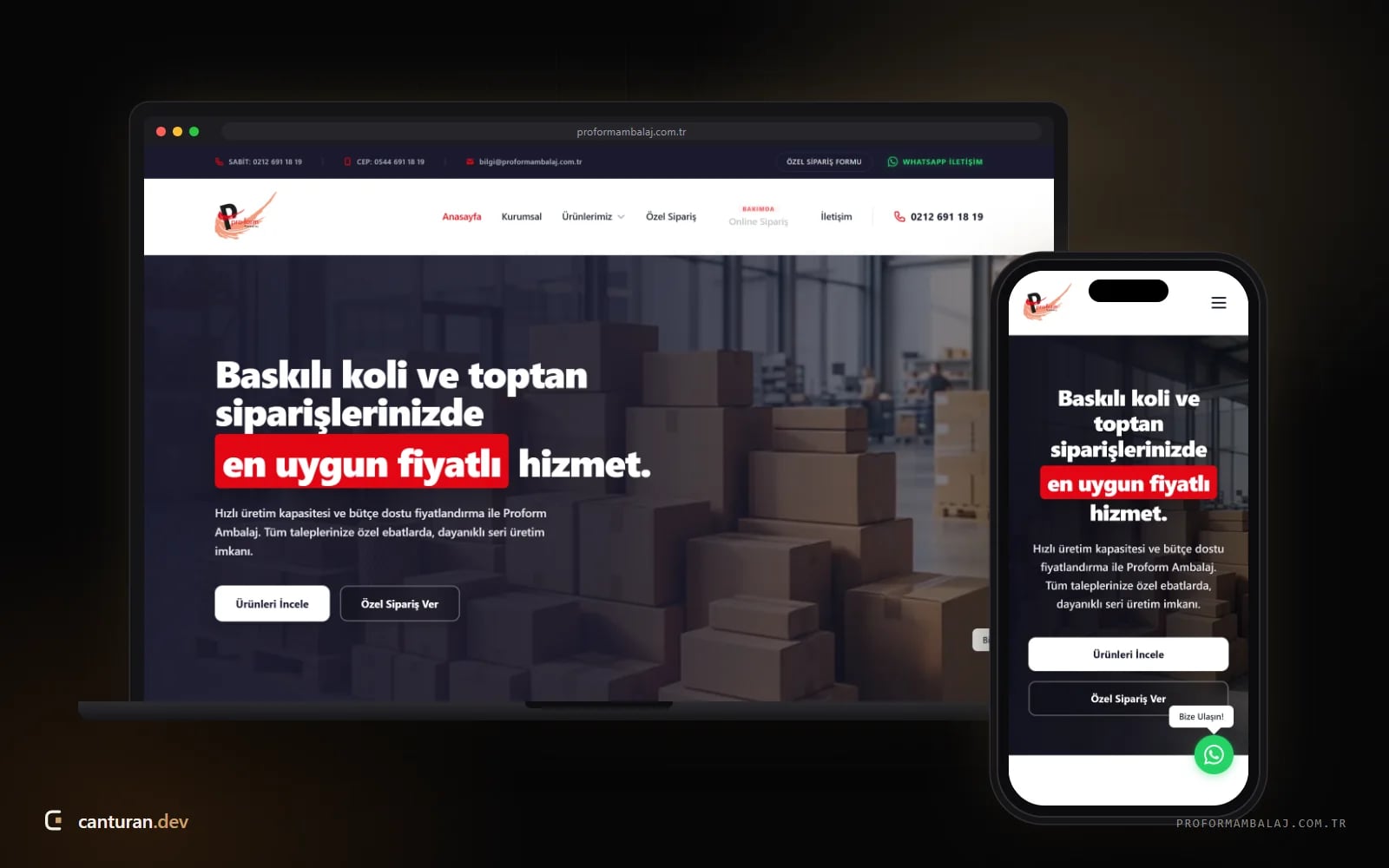Desktop and mobile views of the Proform Ambalaj website