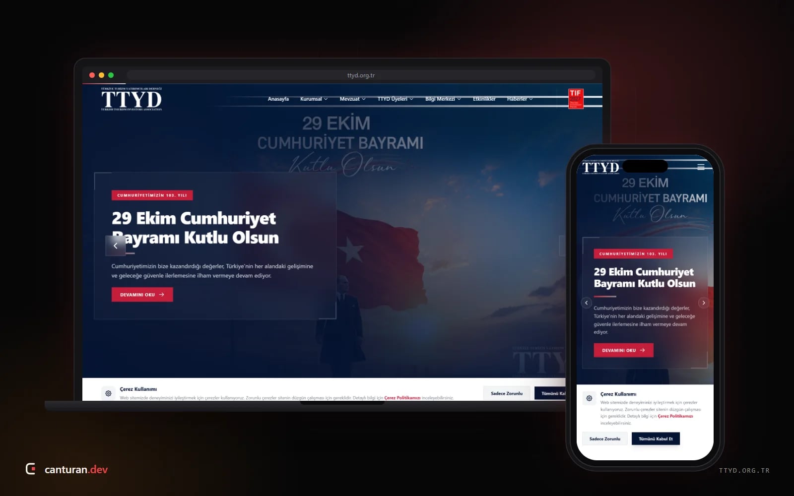 Desktop and mobile views of the TTYD web platform